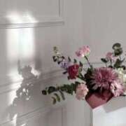 ヒメ日記 2025/04/22 16:18 投稿 ゆりあ 東京エステコレクション 新橋・銀座