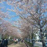 ヒメ日記 2025/04/13 07:51 投稿 ゆずき 渋谷 風俗 いきなりビンビン伝説