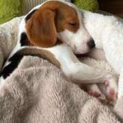 ヒメ日記 2025/06/29 08:29 投稿 ゆずき 渋谷 風俗 いきなりビンビン伝説