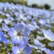 ヒメ日記 2025/05/03 15:43 投稿 新人・さや CLASSY.四日市店