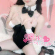 ヒメ日記 2025/12/17 14:06 投稿 メタ ギャルズネットワーク神戸