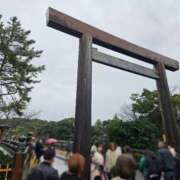 ヒメ日記 2025/12/23 19:16 投稿 織田 ふゆみ 夜這い専門 発情する奥様たち梅田店