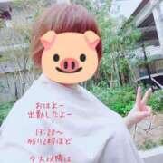 ヒメ日記 2025/03/27 11:09 投稿 佐山そら 大阪ぽっちゃり妻 谷九店