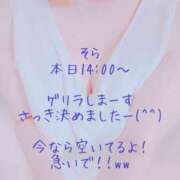ヒメ日記 2025/04/01 11:52 投稿 佐山そら 大阪ぽっちゃり妻 谷九店