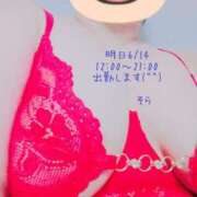 ヒメ日記 2025/06/13 16:14 投稿 佐山そら 大阪ぽっちゃり妻 谷九店