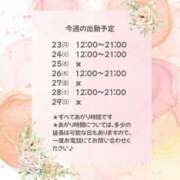 ヒメ日記 2025/06/23 10:35 投稿 佐山そら 大阪ぽっちゃり妻 谷九店