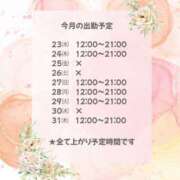 ヒメ日記 2025/07/23 09:36 投稿 佐山そら 大阪ぽっちゃり妻 谷九店