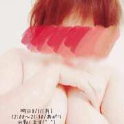 ヒメ日記 2025/08/10 11:44 投稿 佐山そら 大阪ぽっちゃり妻 谷九店