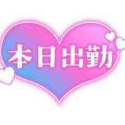 ヒメ日記 2025/02/20 09:47 投稿 れむ 岐阜岐南各務原ちゃんこ