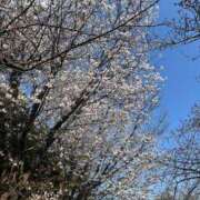 ヒメ日記 2025/04/12 18:05 投稿 くみ 熟女の風俗最終章 仙台店