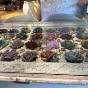 ヒメ日記 2025/06/23 08:04 投稿 くみ 熟女の風俗最終章 仙台店