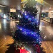 ヒメ日記 2025/12/22 08:24 投稿 くみ 熟女の風俗最終章 仙台店