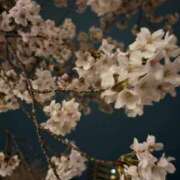 ヒメ日記 2026/04/16 01:40 投稿 くみ 熟女の風俗最終章 仙台店