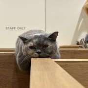 ヒメ日記 2025/01/23 23:54 投稿 ひめ HEAVEN Hand