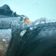 ヒメ日記 2025/07/29 02:55 投稿 あおい ヌクトコ池袋店