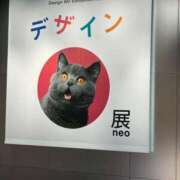 ヒメ日記 2025/07/29 18:03 投稿 あおい ヌクトコ池袋店