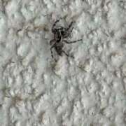 ヒメ日記 2025/08/19 10:04 投稿 あおい ヌクトコ池袋店