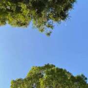 ヒメ日記 2025/09/17 07:48 投稿 あおい ヌクトコ池袋店