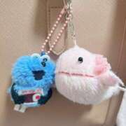 ヒメ日記 2025/05/26 08:37 投稿 奥菜まなみ ヌルテカ