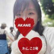 ヒメ日記 2025/06/08 15:30 投稿 あかり しこたまッ！～コスプレ×恋愛～