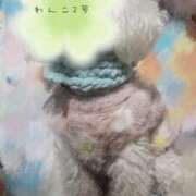 ヒメ日記 2025/12/24 08:08 投稿 あかり しこたまッ！～コスプレ×恋愛～