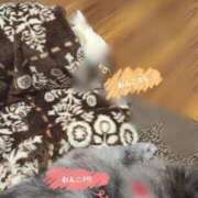 あかり こたつ犬🍊 しこたまッ！～コスプレ×恋愛～