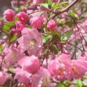 あかり 今日はリクエストのみです🌸 しこたまッ！～コスプレ×恋愛～