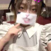 こゆき 🐱 ラズベリードール