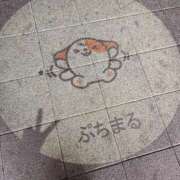 ヒメ日記 2025/05/31 02:16 投稿 美穂（ミホ） アバンチュール(五反田)