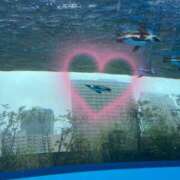 ヒメ日記 2025/06/01 16:16 投稿 美穂（ミホ） アバンチュール(五反田)