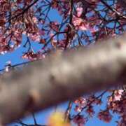 ヒメ日記 2026/03/05 14:46 投稿 美穂（ミホ） アバンチュール(五反田)