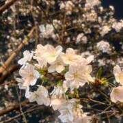 ヒメ日記 2026/04/01 15:16 投稿 美穂（ミホ） アバンチュール(五反田)