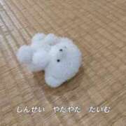 ヒメ日記 2025/08/15 02:21 投稿 あくあ 紅(くれない)