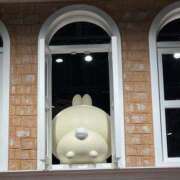 ヒメ日記 2025/12/24 15:51 投稿 あくあ 紅(くれない)