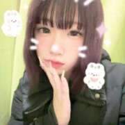 ヒメ日記 2025/02/19 13:10 投稿 島崎ふぃお 奴隷志願！変態調教飼育クラブ梅田店