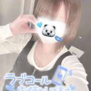 ヒメ日記 2025/03/15 08:02 投稿 島崎ふぃお 奴隷志願！変態調教飼育クラブ梅田店