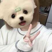 ヒメ日記 2025/03/23 14:03 投稿 島崎ふぃお 奴隷志願！変態調教飼育クラブ梅田店