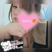 ヒメ日記 2025/03/24 14:43 投稿 みかん 三重松阪ちゃんこ