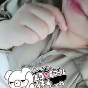 ヒメ日記 2025/04/11 16:03 投稿 みかん 三重松阪ちゃんこ