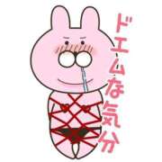 ヒメ日記 2025/06/23 16:03 投稿 みかん 三重松阪ちゃんこ