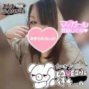 ヒメ日記 2025/08/15 16:23 投稿 みかん 三重松阪ちゃんこ