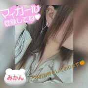 ヒメ日記 2025/11/01 23:23 投稿 みかん 三重松阪ちゃんこ