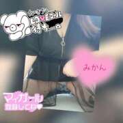 ヒメ日記 2025/11/07 12:28 投稿 みかん 三重松阪ちゃんこ