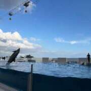 ヒメ日記 2025/05/04 10:01 投稿 水瀬(みなせ) すい キングアンドクイーン