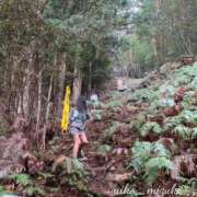 ヒメ日記 2025/03/12 22:18 投稿 水城 有為子 名古屋貴楼館