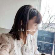 ヒメ日記 2025/04/14 09:08 投稿 水城 有為子 名古屋貴楼館