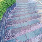 ヒメ日記 2025/04/17 15:08 投稿 水城 有為子 名古屋貴楼館