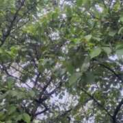 ヒメ日記 2025/05/09 17:38 投稿 水城 有為子 名古屋貴楼館