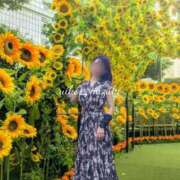 ヒメ日記 2025/07/15 06:18 投稿 水城 有為子 名古屋貴楼館