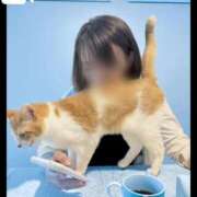 ヒメ日記 2025/07/21 09:38 投稿 水城 有為子 名古屋貴楼館